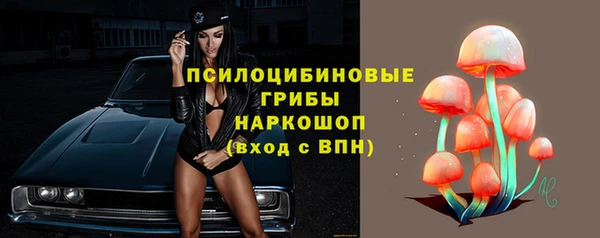 jwh Гусиноозёрск