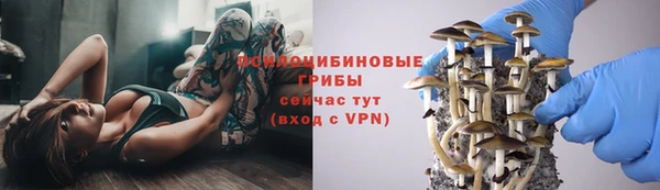 Альфа ПВП Гусь-Хрустальный