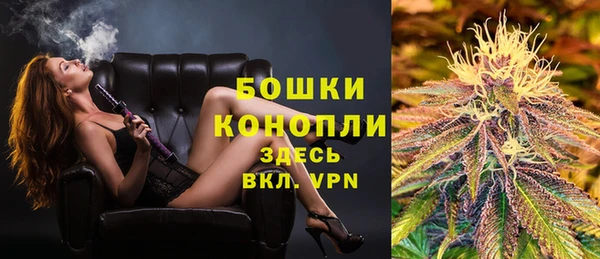 Альфа ПВП Гусь-Хрустальный