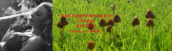 jwh Гусиноозёрск