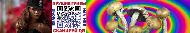 Псилоцибиновые грибы Magic Shrooms  Купить закладки  Правдинск 